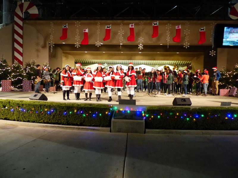 Holiday Snow Village 2015 01